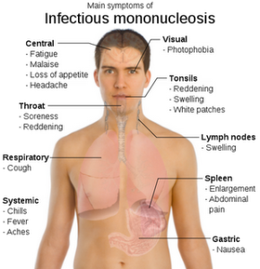 causes of cervical and breast cancer